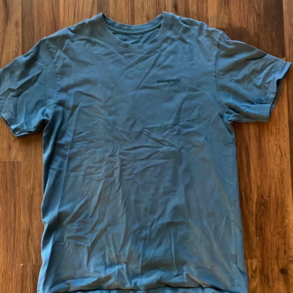 Mens Patagonia t shirt